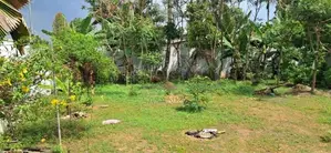 Nawinna Prime Location 20 Perches With Two Houses For sale