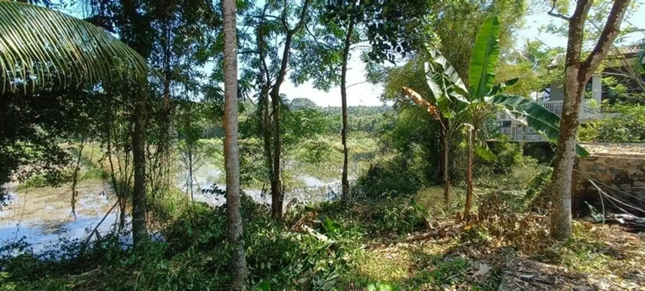 Kosgama 400 Perches Coconut Land For sale