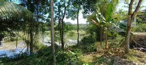Kosgama 400 Perches Coconut Land For sale