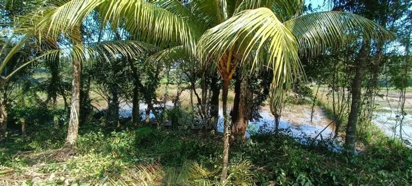 Kosgama 400 Perches Coconut Land For sale