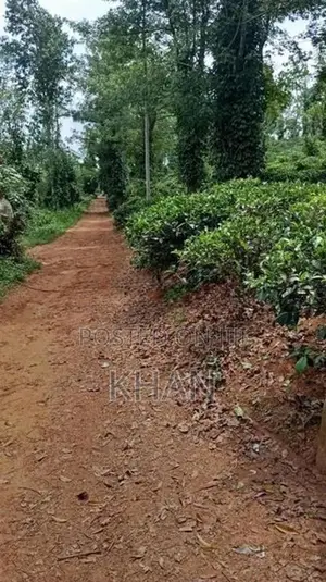 Tea Estate for Sale Alawatugoda