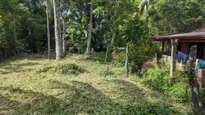 කොළඹ–නුවර පාරට ලගින් වටිනා බිම් කොටසක්