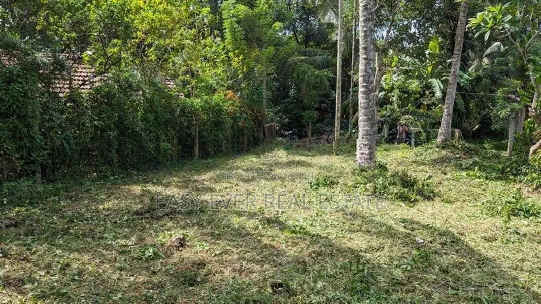 කොළඹ–නුවර පාරට ලගින් වටිනා බිම් කොටසක්