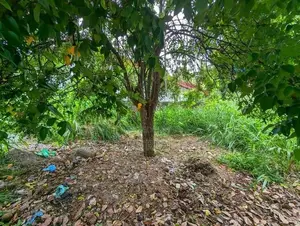කොළඹ පිළියන්දල – හොඳම ඉඩම