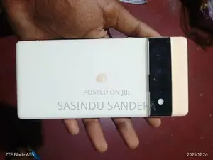 Google Pixel 6 Pro (Used)