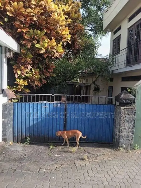 House for Sale in Colombo 05