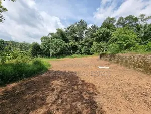 නිට්ටඹුව – අත්තනගල්ල පාර ,වටිනා නේවාසික බිම් කොටසක් විකිණීමට