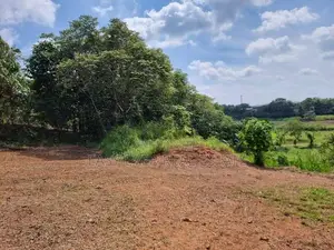 නිට්ටඹුව – අත්තනගල්ල පාර ,වටිනා නේවාසික බිම් කොටසක් විකිණීමට