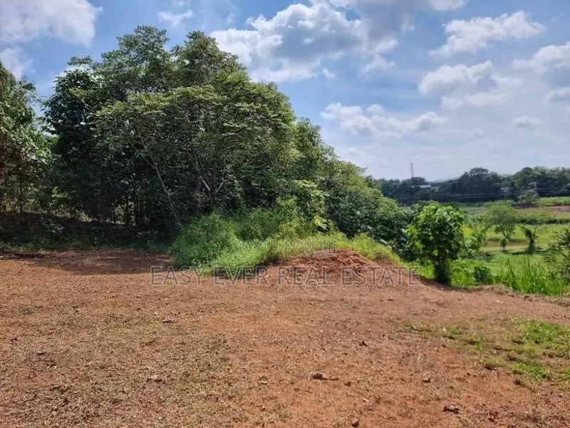 නිට්ටඹුව – අත්තනගල්ල පාර ,වටිනා නේවාසික බිම් කොටසක් විකිණීමට