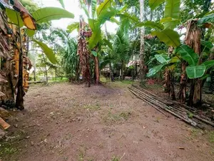 ගම්පහ ශ්‍රී බෝධි පාර පර්චස් 12 ක වටිනාකමක් ඇති ඉඩමක් විකිණීමට ඇත