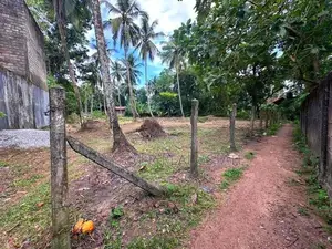 යක්කල වීදියවත්ත පර්චස්10 . තැනිතලා ඉඩමක් කොටස් වශයෙන් විකිණිමට