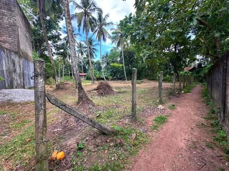 යක්කල වීදියවත්ත පර්චස්10 . තැනිතලා ඉඩමක් කොටස් වශයෙන් විකිණිමට