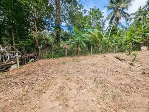 වතුපිටිවල කලාපයට ආසන්නයෙන්වටිනා බිම්කොටසක් විකිනීමට