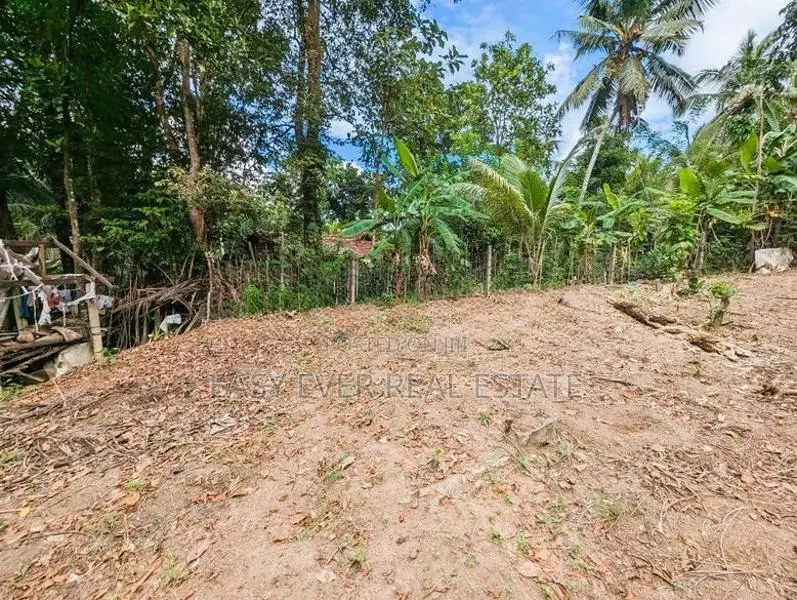 වතුපිටිවල කලාපයට ආසන්නයෙන්වටිනා බිම්කොටසක් විකිනීමට