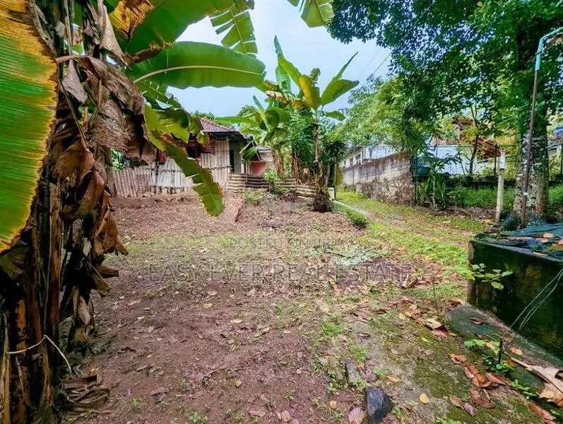 ගම්පහ ශ්‍රී බෝධි පාර පර්චස් 12 ක වටිනාකමක් ඇති ඉඩමක් විකිණීමට ඇත