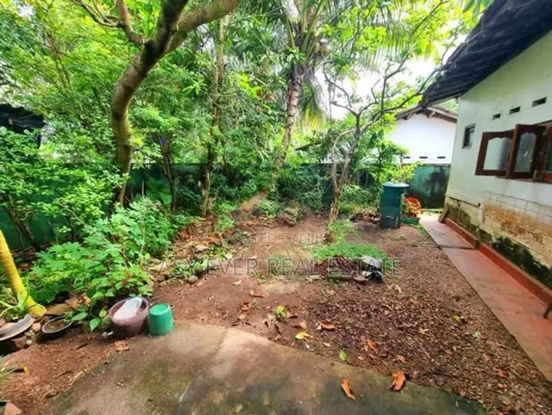 ගම්පහ පල්ලිය පාර පර්චස් 9 ක වටිනා ඉඩමක් විකිණීමට ඇත.