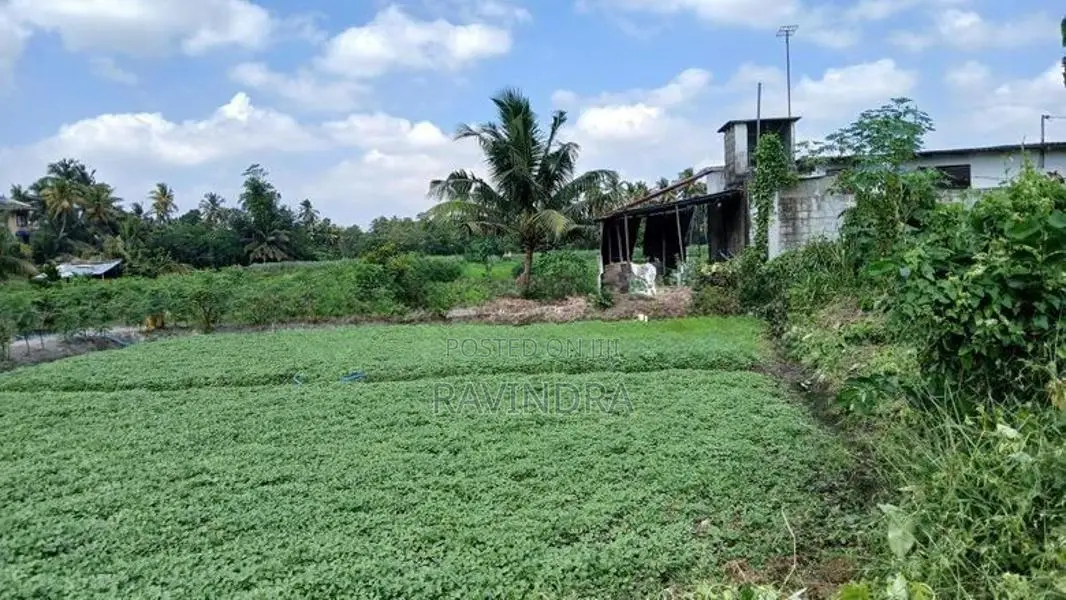 Land for Sale in Boralesgamuwa