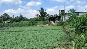 Land for Sale in Boralesgamuwa