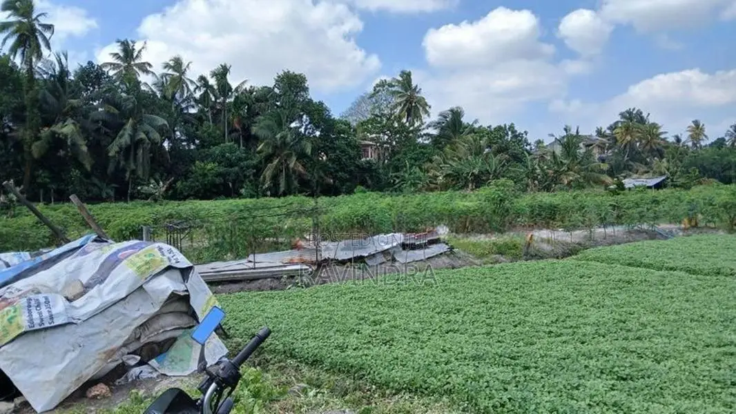 Land for Sale in Boralesgamuwa