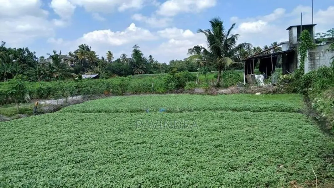 Land for Sale in Boralesgamuwa