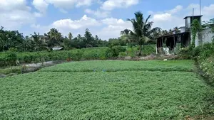 Land for Sale in Boralesgamuwa