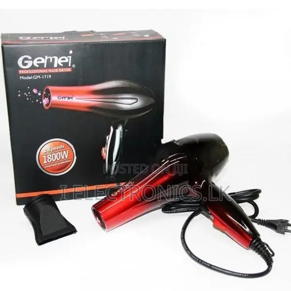 Gemei 1800W Fessional Hair Dryer Gm-1719 Blow Hot Air Style