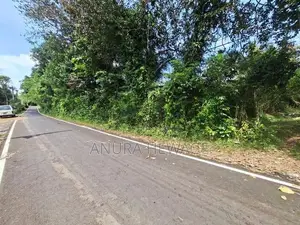 Land for Sale Diyagama (for Real Estate). (ID : DYGA002)