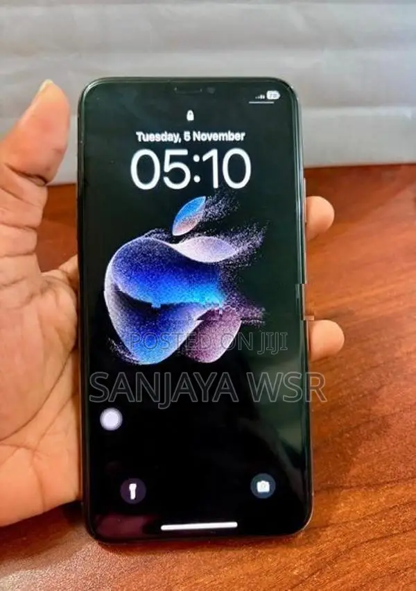 Apple iPhone 11 Pro Max 256GB (Used)