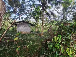 Land for Sale Diyagama (for Real Estate). (ID : DYGA002)