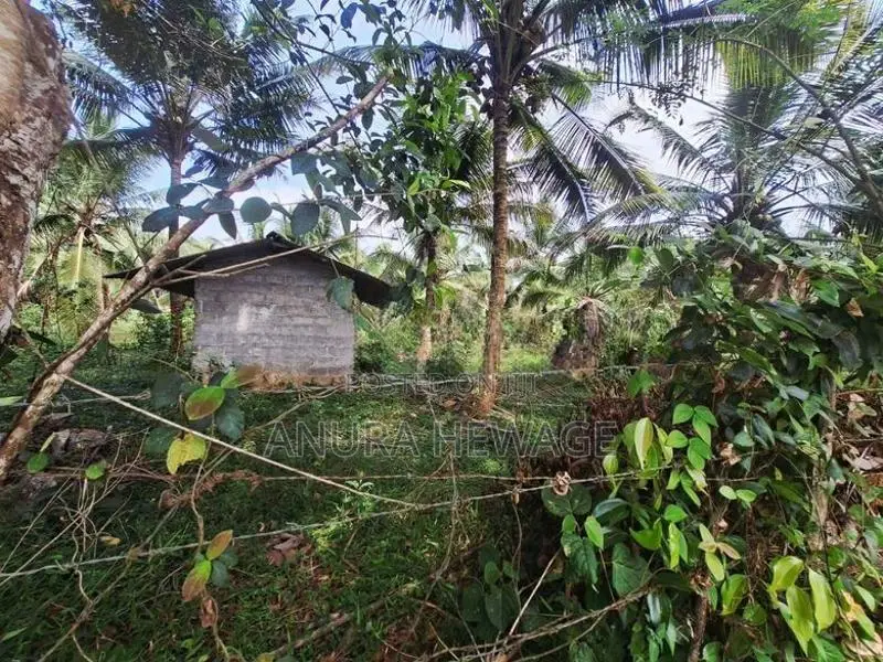 Land for Sale Diyagama (for Real Estate). (ID : DYGA002)