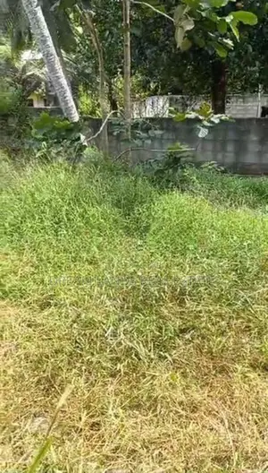 LAND FOR SALE IN WALIWERIYA (SP994)