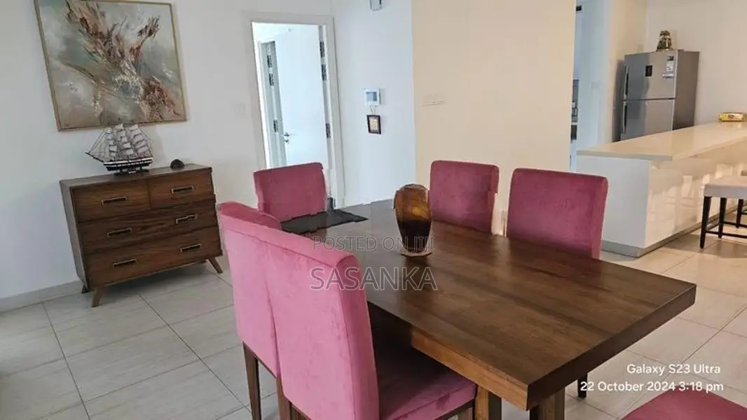Colombo 7 Luxury Furnished Apartment For Rent