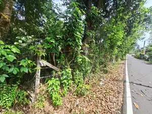 Land for Sale Diyagama (for Real Estate). (ID : DYGA002)