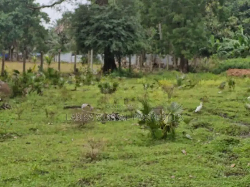 Valuable Roadside Land with House for Sale In Vavuniya