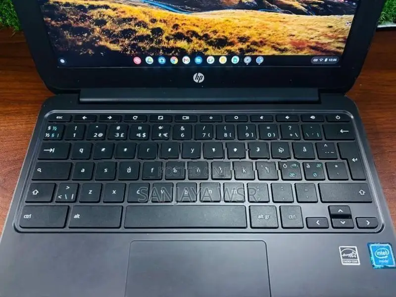 HP Chromebook Mini Laptop