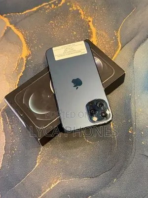 Apple iPhone 12 Pro Max 256GB (Used)