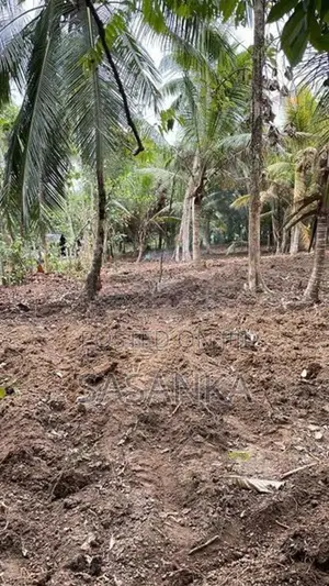 Nugegoda Kandawatta Road 5 Perches Land for Sale