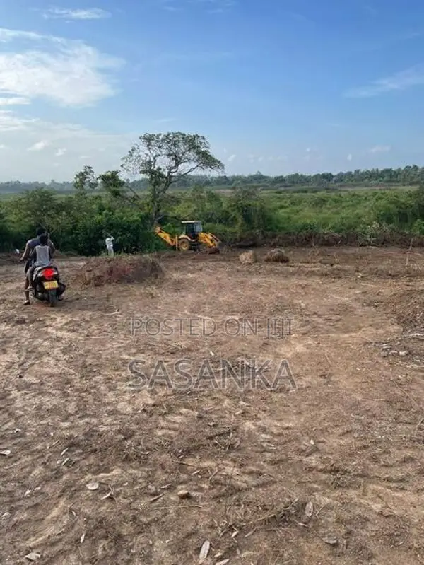 ජා ඇල - ප්‍රදේශයේ පර්චස් 60 විකිණීමට