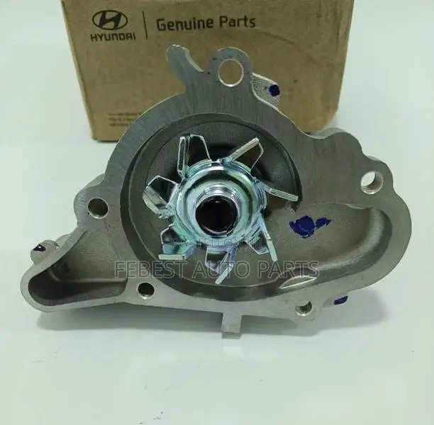 Eon Water pump