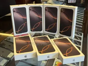 Apple iPhone 16 Pro Max 256GB (Used)