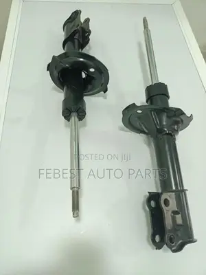 Eon shock absorber