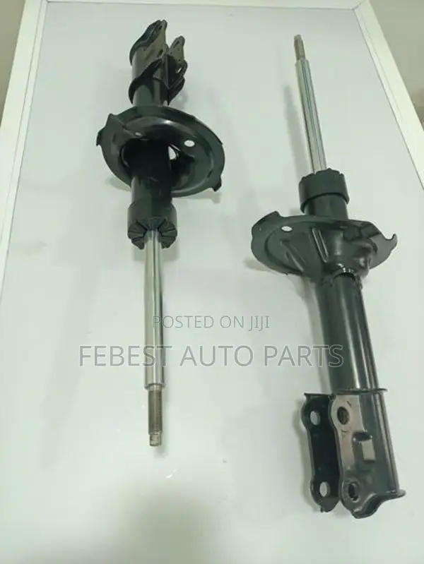 Eon shock absorber