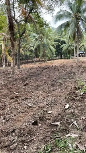 Nugegoda Kandawatta Road 5 Perches Land for Sale