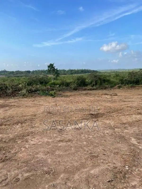 ජා ඇල - ප්‍රදේශයේ පර්චස් 60 විකිණීමට