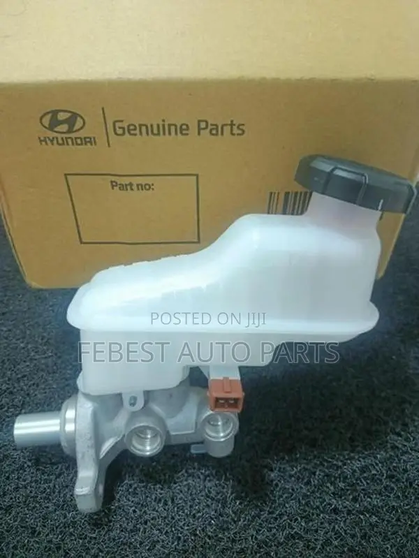 Eon Brake Master Pump