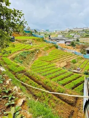 (AF508) Dawns Bungalow For Sale in Nuwara Eliya