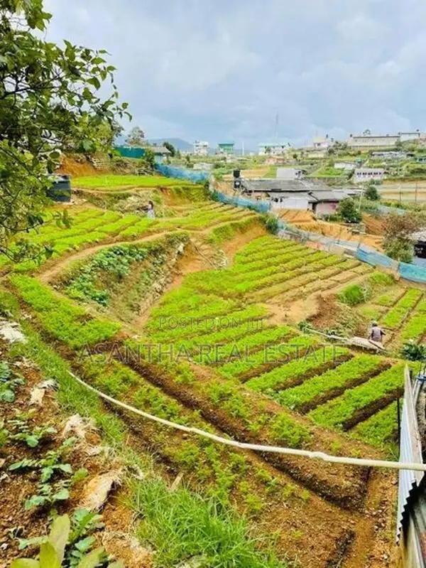 (AF508) Dawns Bungalow For Sale in Nuwara Eliya