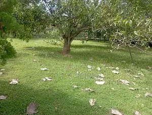 Land For Sale Dalupatha Negombo Gampaha