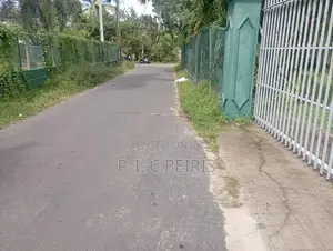 Land For Sale Dalupatha Negombo Gampaha