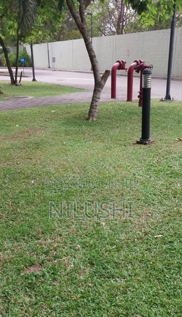 Land for Sale with Old House |Pagoda Road LS0011